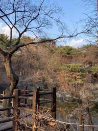 Yongsan family park เดินเล่นที่สวนยงซาน 🧺