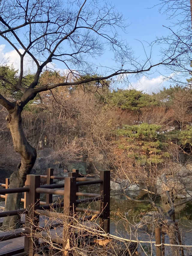 Yongsan family park เดินเล่นที่สวนยงซาน 🧺