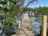 Outdoorgate Sepang Mangrove River Kayaking