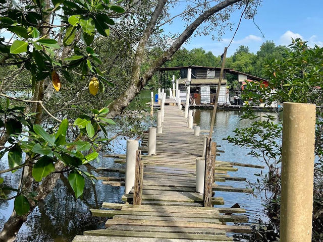 Outdoorgate Sepang Mangrove River Kayaking