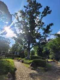 The blooming flora of Bukit Batok Town Park