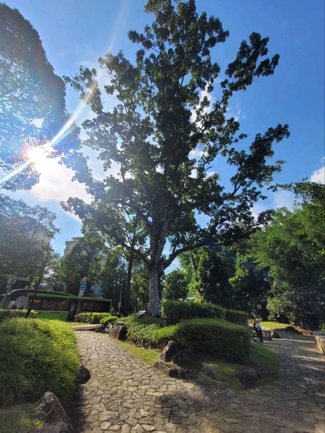 The blooming flora of Bukit Batok Town Park