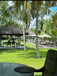 🐾First Meal in Langkawi – Cats, Grass & Chill at NAM Restaurant