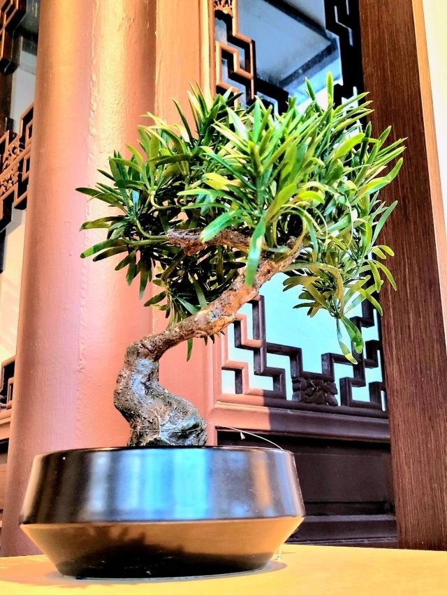 Time-honored Bonsai collection at the Bonsai Garden