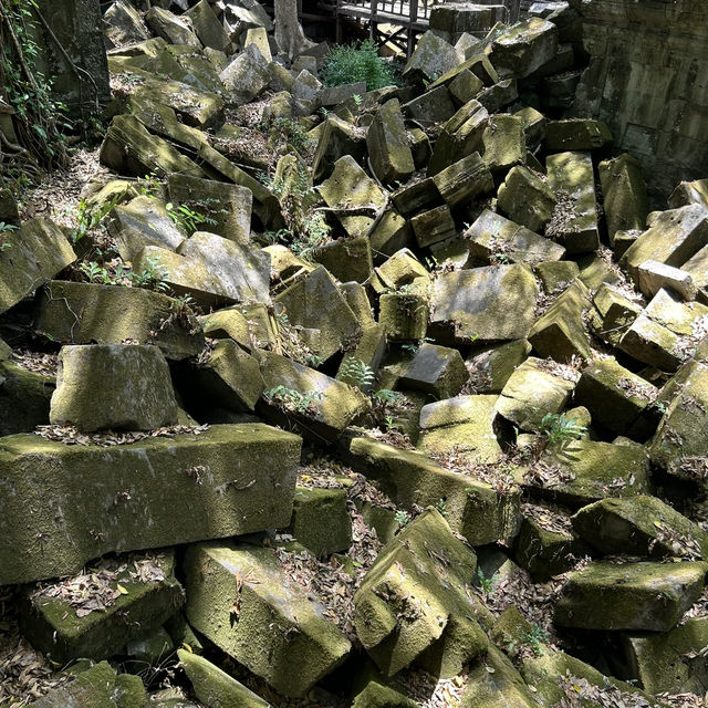 【ラピュタの世界🪐】ベンメリア遺跡で出会った崩れゆく美しさ🌿 
