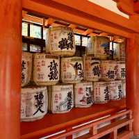 ⛩️ Great Torii Summer Survival Guide