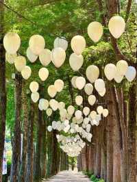 Nami Island 