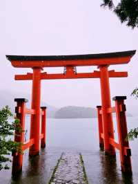 Peace Torii