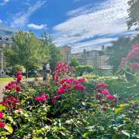 Reading Museum & Forbury Gardens