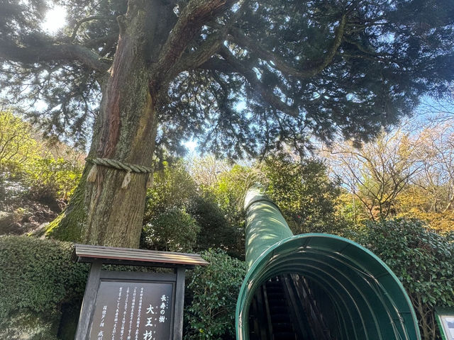 Hakone: Narukawa Art Museum Guide — Art, Views, and My Time-Traveling Entrance! 🎨🌳