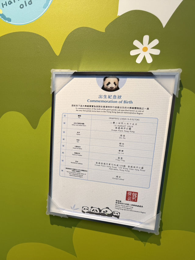 香港海洋公園🥰必睇新出世熊貓🐼回憶必坐纜車🚡