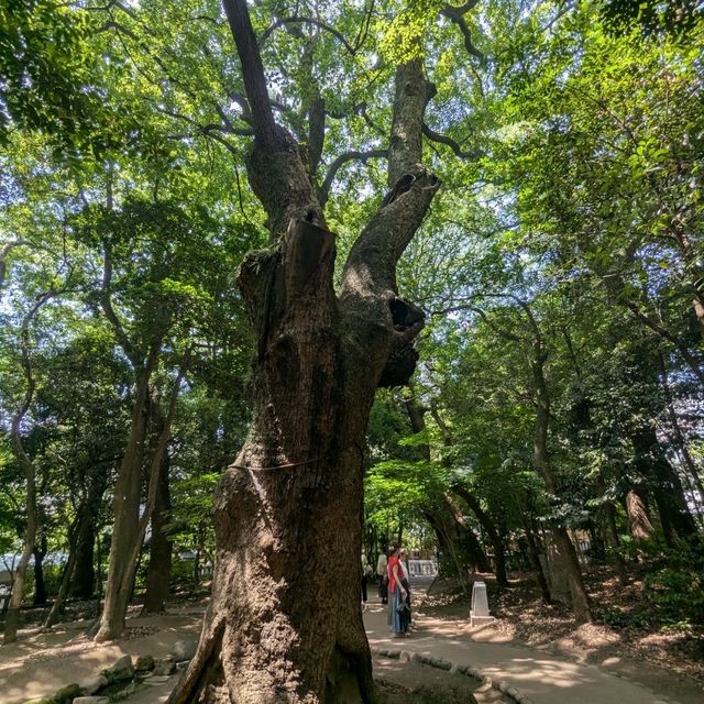 神戶 | 生田神社，祈求戀愛結緣的神社