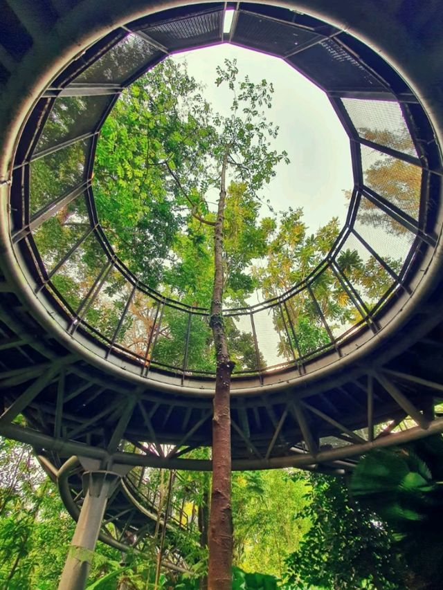 🚣‍♂️🌴 Lake Titiwangsa – Water Fun & Nature Vibes in the Heart of KL! 🌞🌊