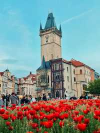 【プラハ🇨🇿】タイムスリップ気分！プラハ旧市街が美しすぎる