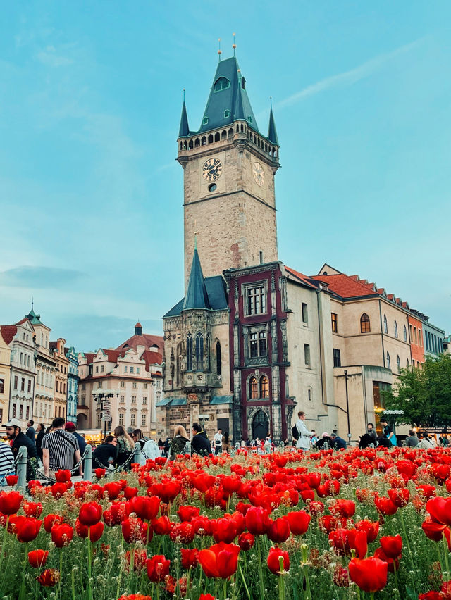 【プラハ🇨🇿】タイムスリップ気分！プラハ旧市街が美しすぎる