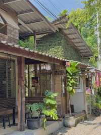 บ้านข้างวัด เชียงใหม่ มู้ดน่ารักมาก 🏠🫶🏻✨
