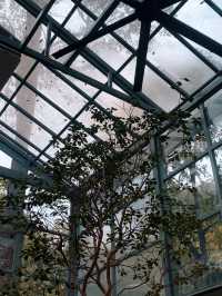  The Glasshopper, Putrajaya – Sippin’ in a Glasshouse