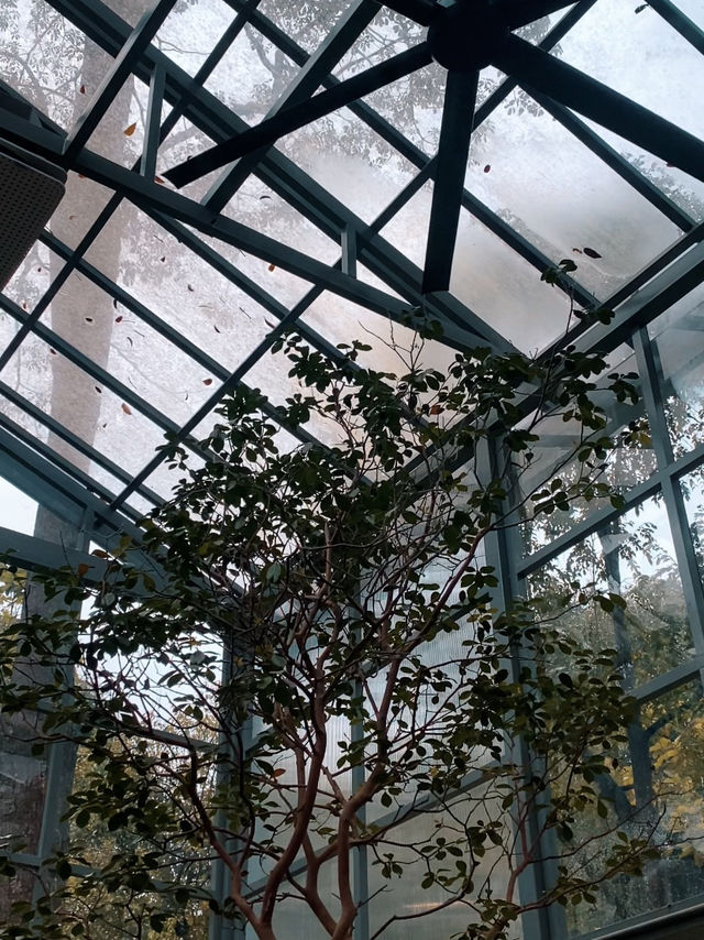  The Glasshopper, Putrajaya – Sippin’ in a Glasshouse