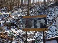 🐒 Jigokudani Yaen-Koen – A Snow Monkey Experience Worth the Hike