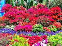 Xiamen Botanical Garden