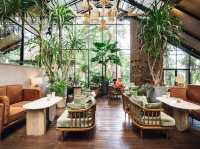 🌿☕✨Baboon Phuket