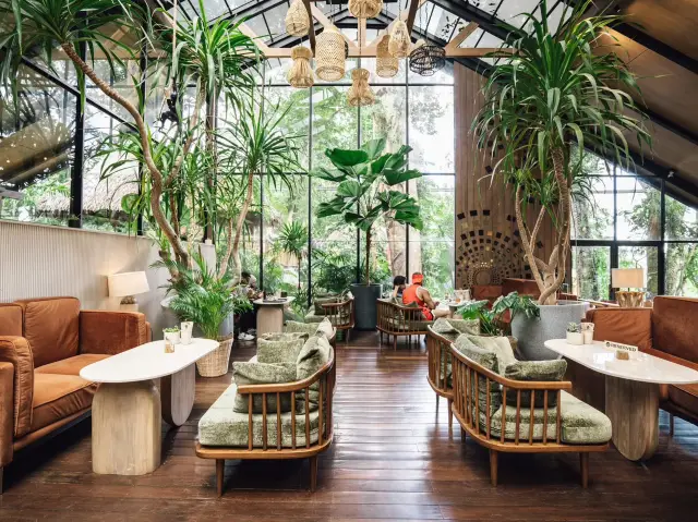 🌿☕✨Baboon Phuket