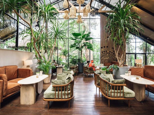 🌿☕✨Baboon Phuket