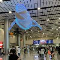 Island Vibes Already Begin at Jeju International Airport