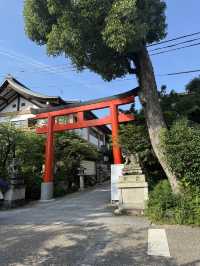 Uji เมืองแห่งชาเขียว