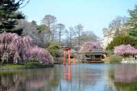 布魯克林植物園