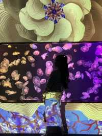 香港隱世打卡 荃灣隱藏寶藏！浩海立方探游館，水母控必去