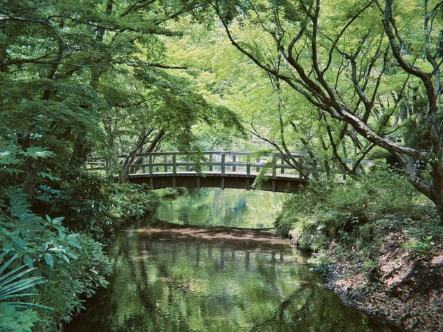 ～鵜阪神社～信仰之境～