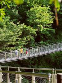 Dodeoksan Suspension Bridge 