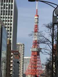 【東京田町 慶應大学三田キャンパスと慶應仲通り商店街】