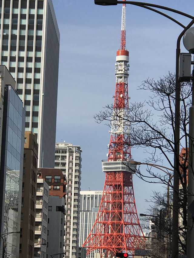 【東京田町 慶應大学三田キャンパスと慶應仲通り商店街】