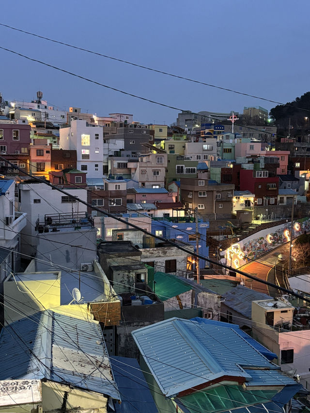 부산 강아지랑 가볼만한곳 추천 여행지