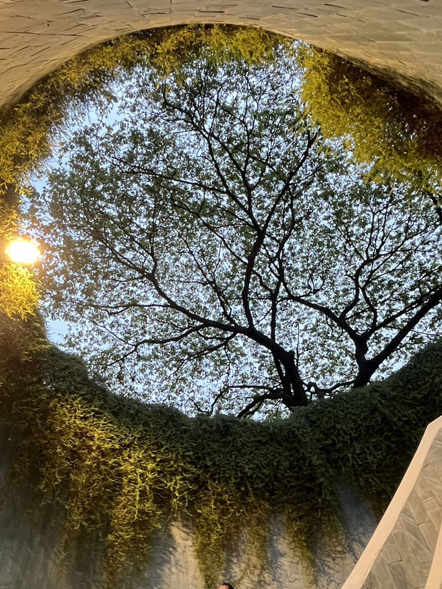 🌙 Hidden Gems After Dark: Rainbow Windows & a Secret Tree Tunnel in Singapore 🌈🌳