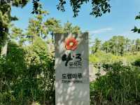 ✍️ 4.3 도령마을