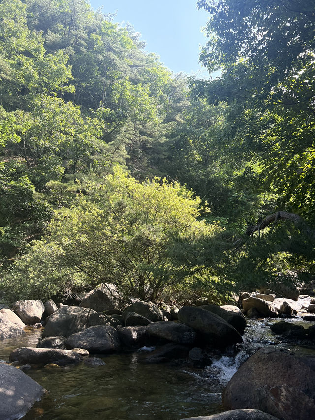 🌿 숲과 계곡 사이, 단양 숨하우스에서 머문 시간🕯️