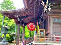 Blooming Wonders of Yanagidani Kannon