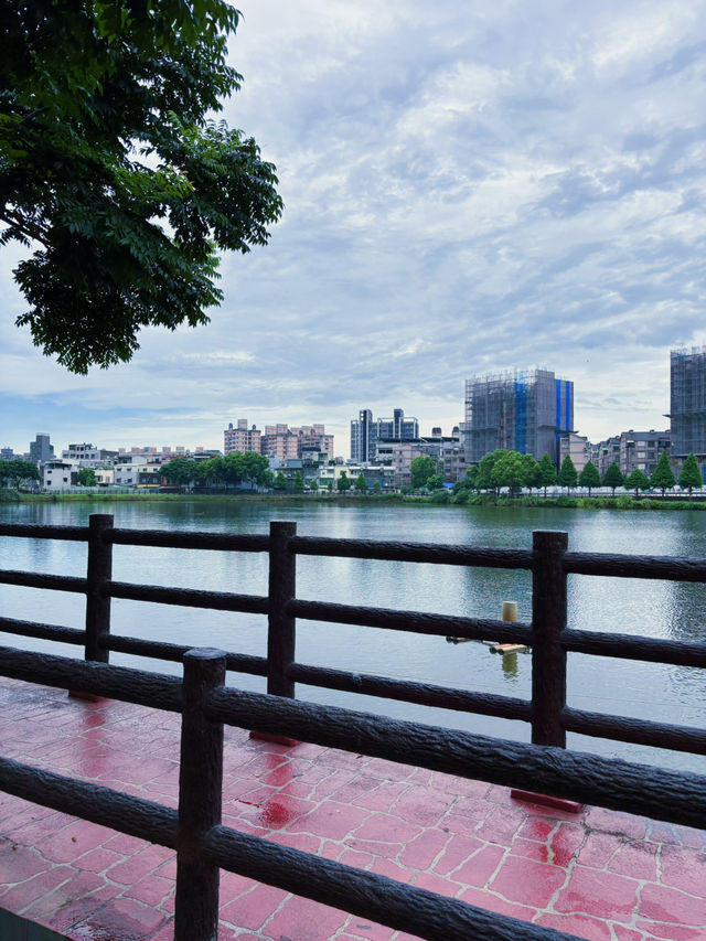 🌿祥鷺生態埤塘公園｜桃園市區裡的小森林，輕鬆散步賞水鳥的靜謐角落 🐦🌾