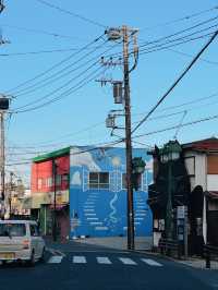 🇯🇵 Tokyo’s Secret Cat Town: A Nostalgic Escape to Ōme City 🐾📷