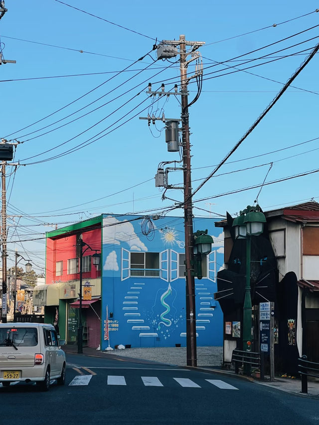 🇯🇵 Tokyo’s Secret Cat Town: A Nostalgic Escape to Ōme City 🐾📷