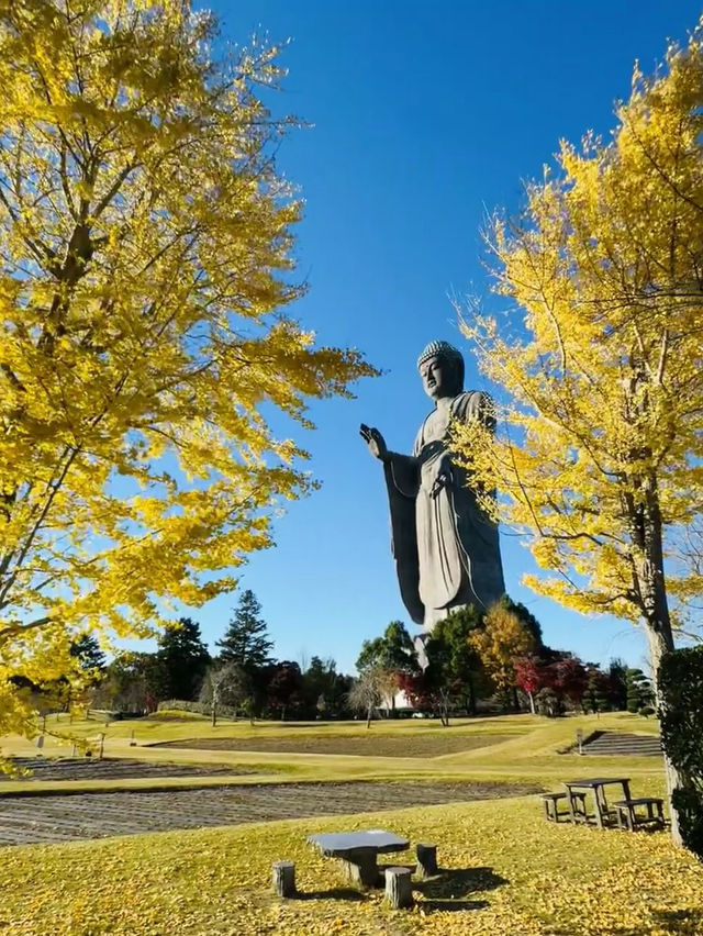 🇯🇵Ushiku Daibutsu — One of Japan’s Most Underrated Day Trips!