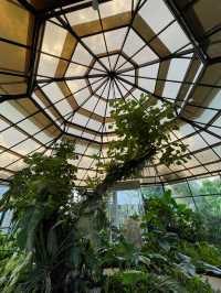 Magic Garden in Nuanu