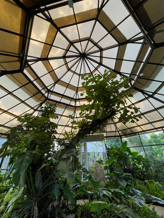 Magic Garden in Nuanu