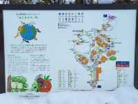跟著企鵝走！北海道高人氣旭山動物園雪季巡禮