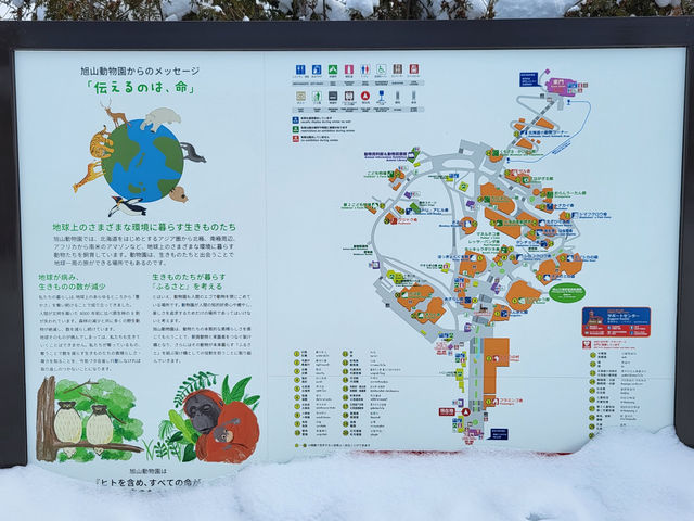 跟著企鵝走！北海道高人氣旭山動物園雪季巡禮
