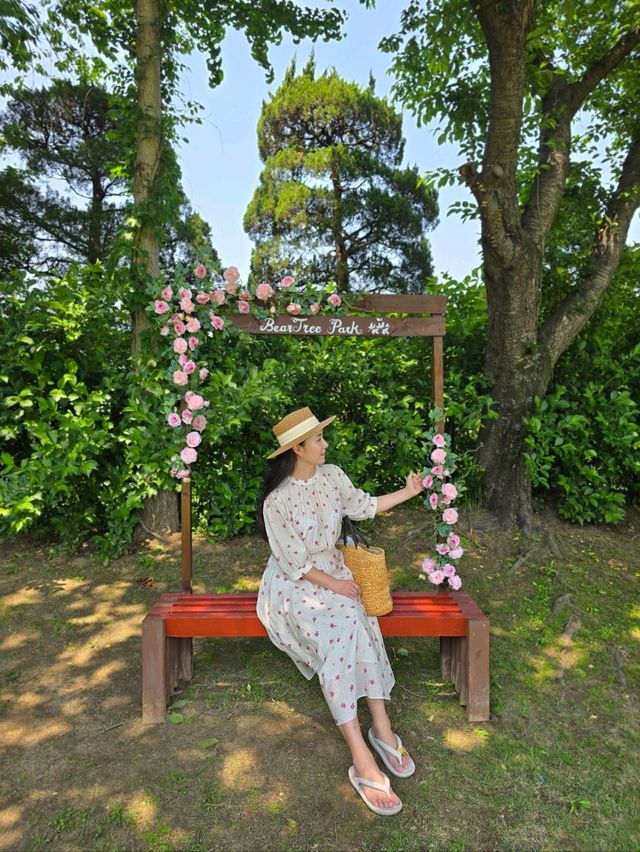 국내 최대규모 베어파크가 있는 세종여행지💚
