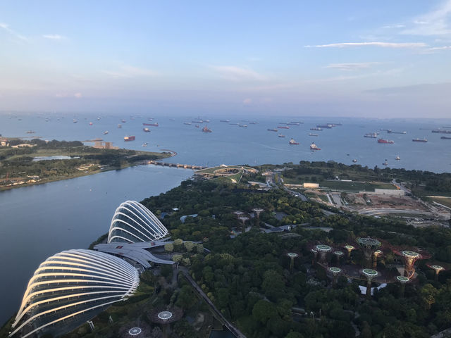 新加坡-金沙酒店SkyPark 觀景台（57樓）